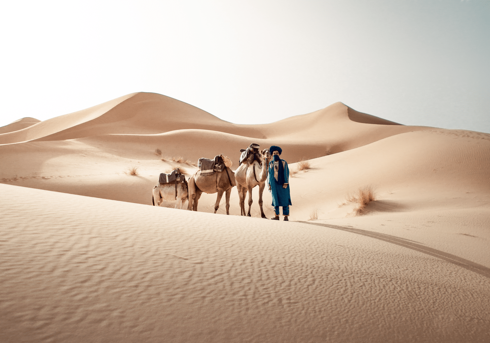 5 Days Tangier to Marrakech Desert Tour