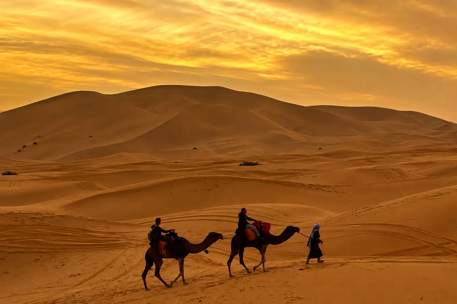 Sunset camel trek across Erg Chebbi dunes