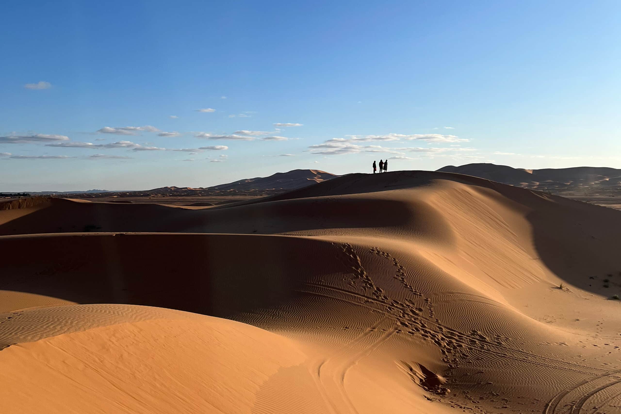 Desert 3