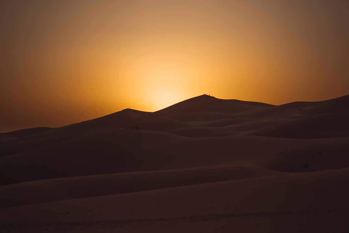 Desert 4