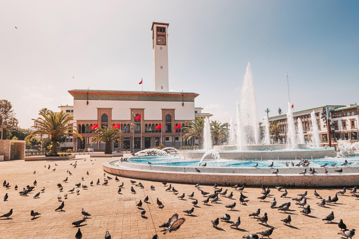10 Days Morocco Tour from Casablanca